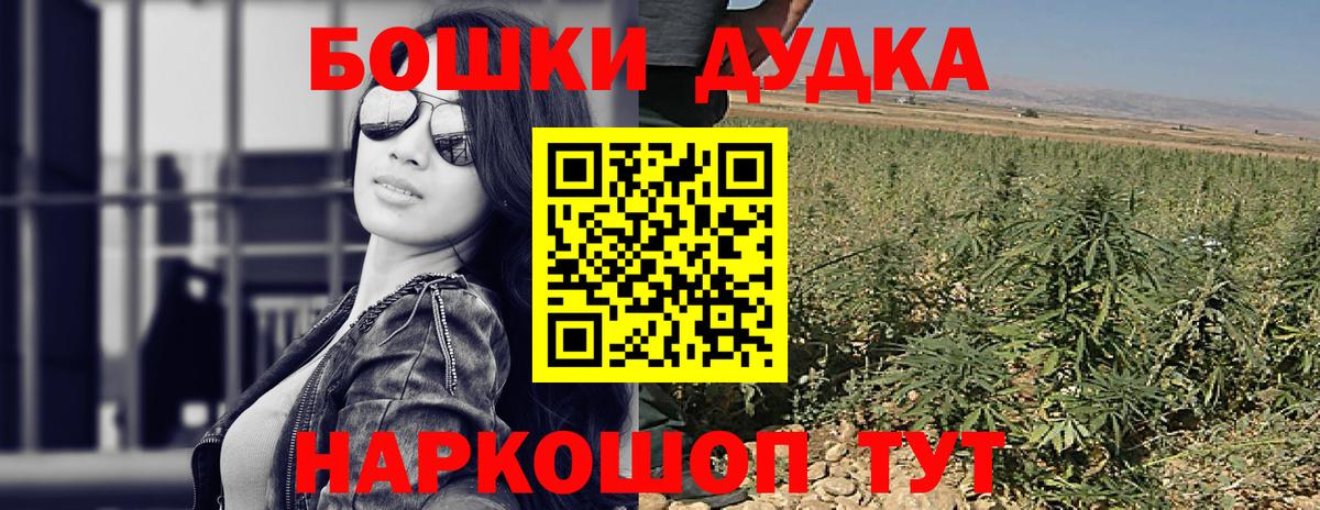 Шахты  Шишки марихуана план  Конопля семена  Вход с VPN  Марихуана сатива 